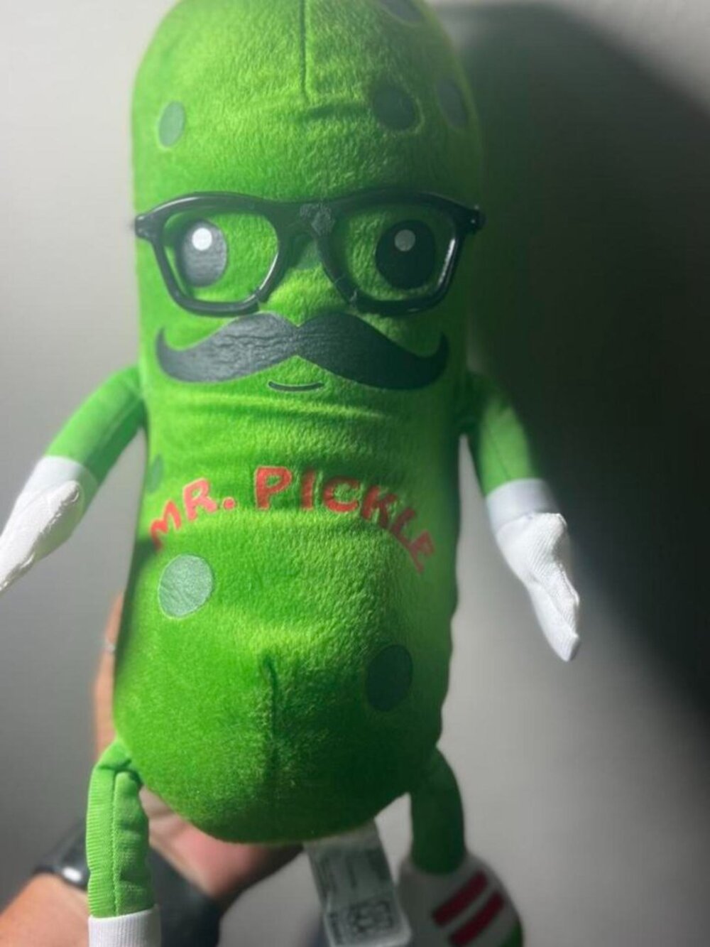 Fiesta Toys Mr Pickle Plush Stuffed Toy